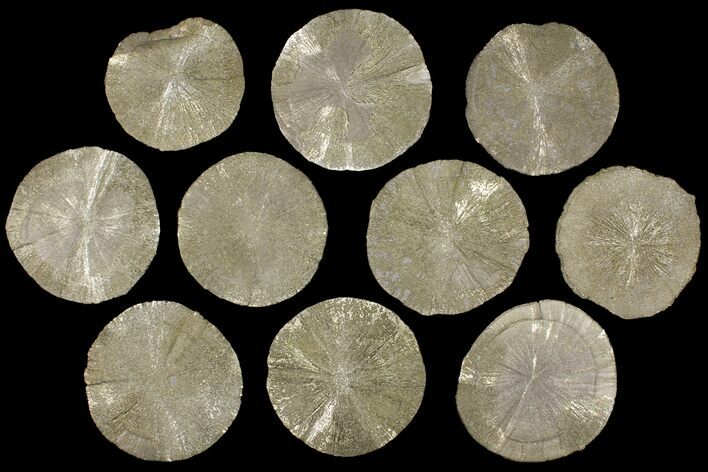 Lot: Pyrite Suns From Illinois - Pieces #91206